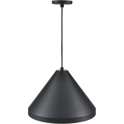 R Series 1 Light 13 inch Satin Black Outdoor Pendant